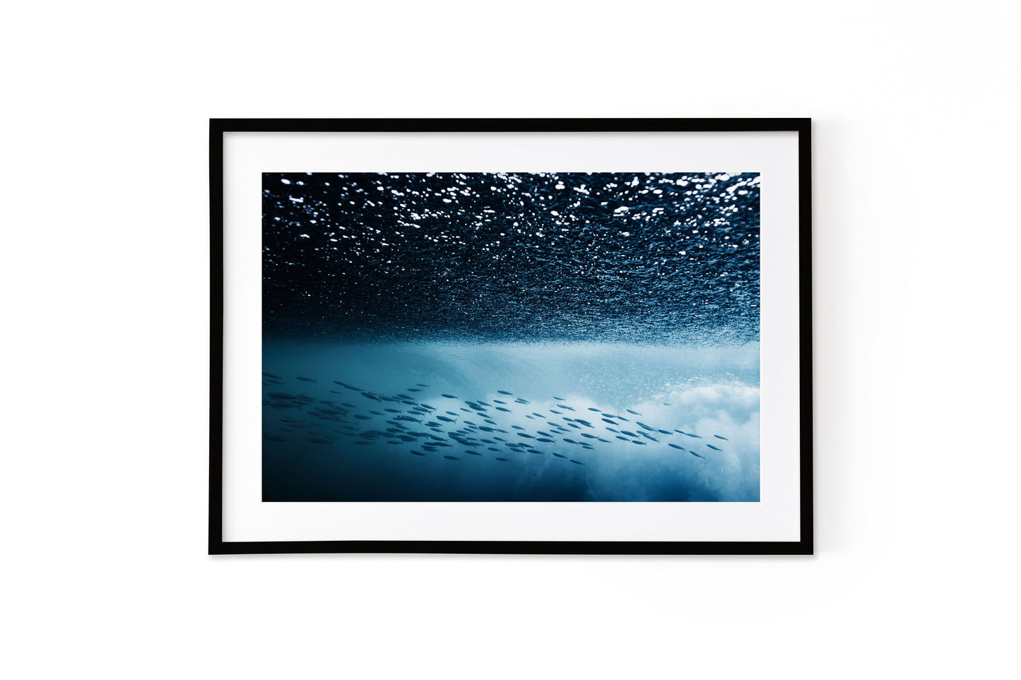 Salt & Surf 15