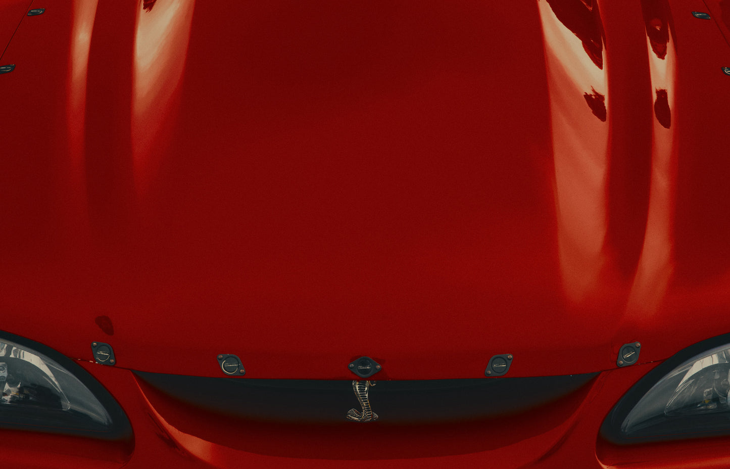 Gasoline Rodeo 07