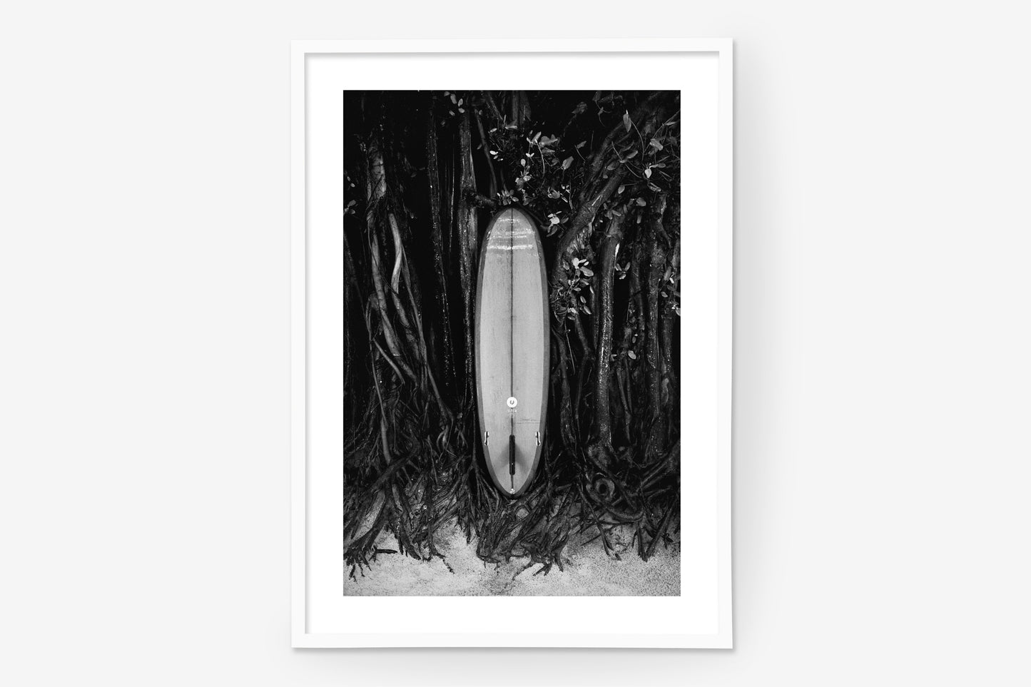 Salt & Surf 01