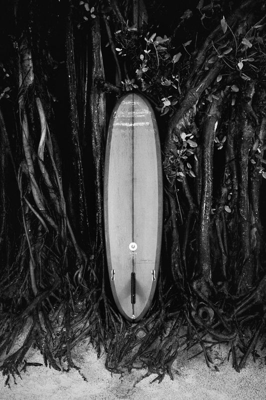 Salt & Surf 01
