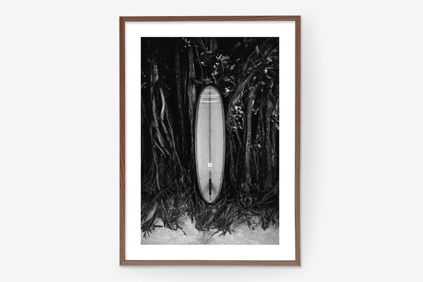 Salt & Surf 01