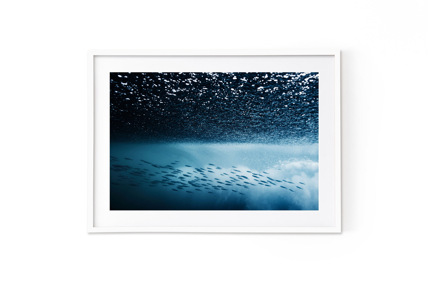 Salt & Surf 15