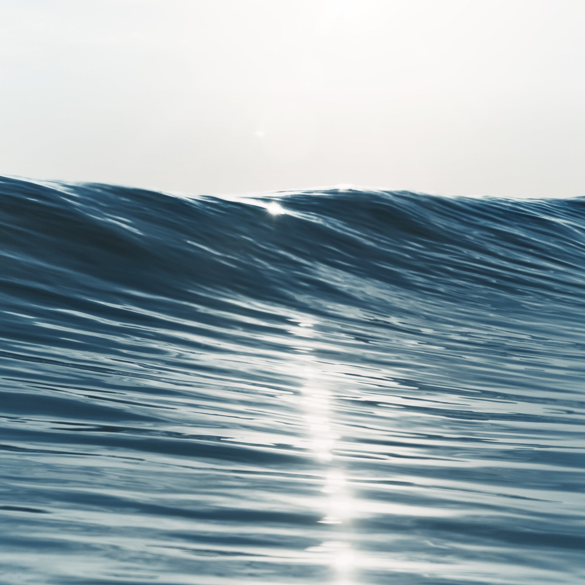 Wavelength 12