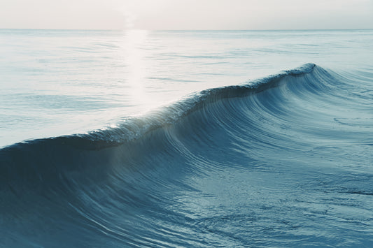 Wavelength 13
